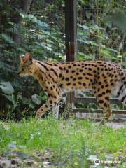 Krefeld Zoo