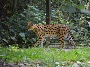 Krefeld Zoo