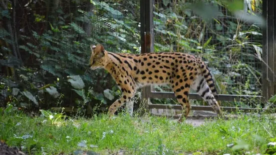 Krefeld Zoo