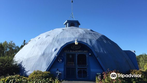 Wild Blueberry Land