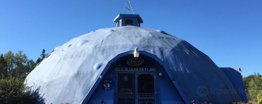 Wild Blueberry Land