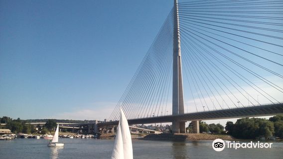 Sava Bridge