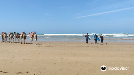 Kaouki Surf School