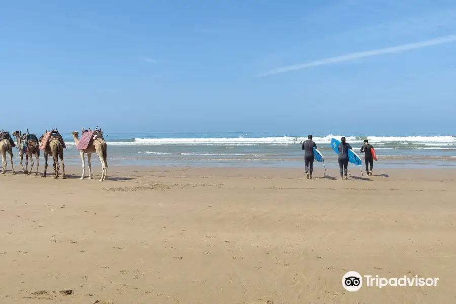 Kaouki Surf School