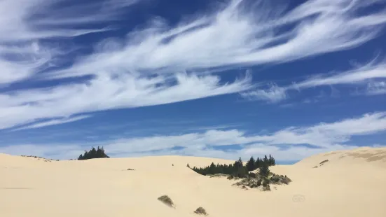 オレゴン砂丘・国立レクリエーション地区・スイスロー国有林