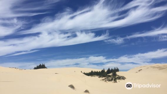 Oregon Dunes National Recreation Area Visitor Center