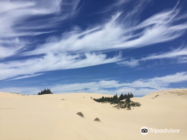 Oregon Dunes National Recreation Area Visitor Center