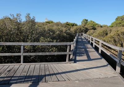 Mangrove Boardwalk