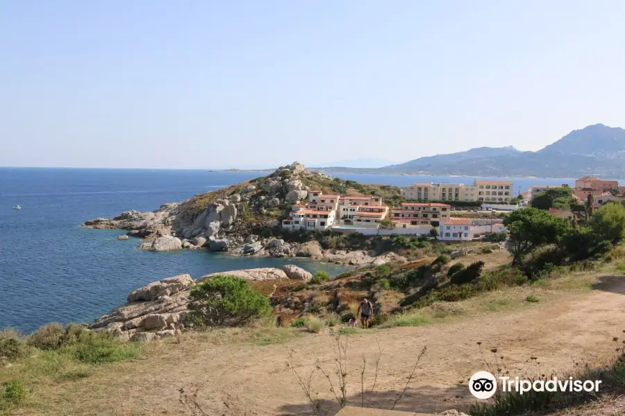 Plage du Roncu