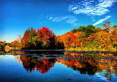 Abbott's Mill Nature Center