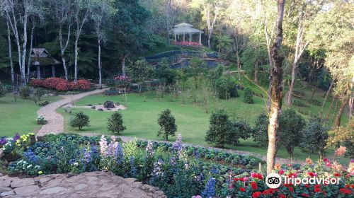 Mae Fah Luang Arboretum