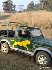 Book Jungle Safari in Rajaji National Park & Tiger Reserve