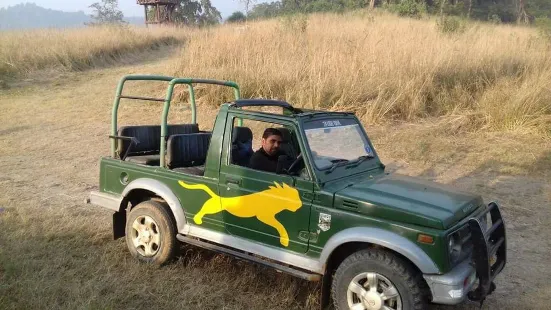 Book Jungle Safari in Rajaji National Park & Tiger Reserve