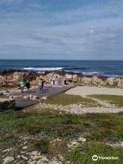 Southern Tip of Africa