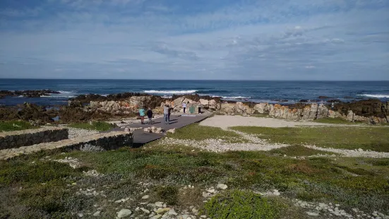 Southern Tip of Africa