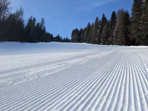 Ski Area Val Comelico