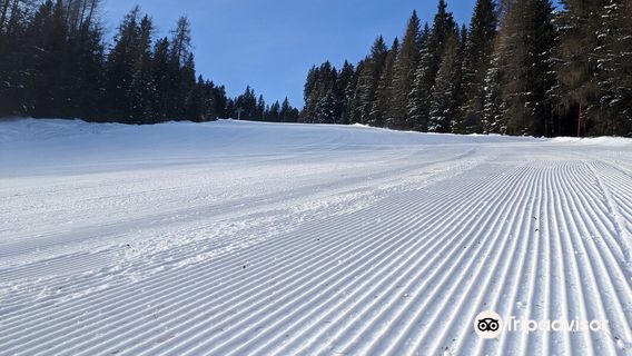 Ski Area Val Comelico