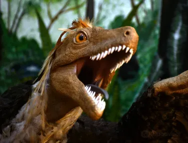 Dinosaur Geopark Haţeg