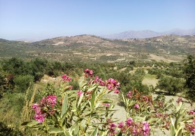 Tamiolakis Winery