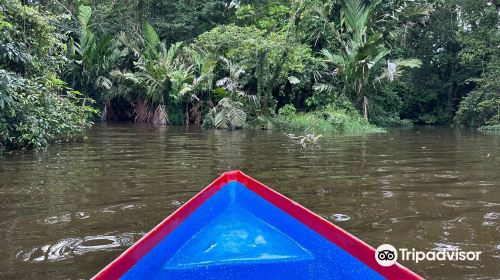 Tortuguero National Park