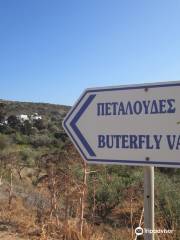 Butterflies Nature Reserve