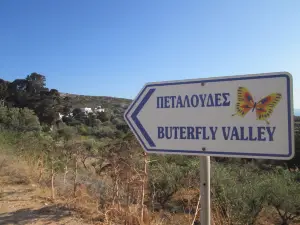 Butterflies Nature Reserve