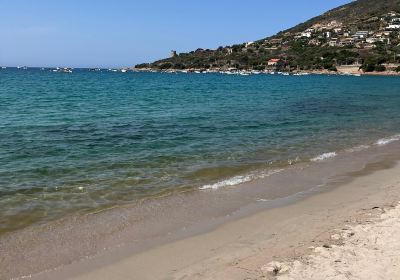 Plage de Sagone