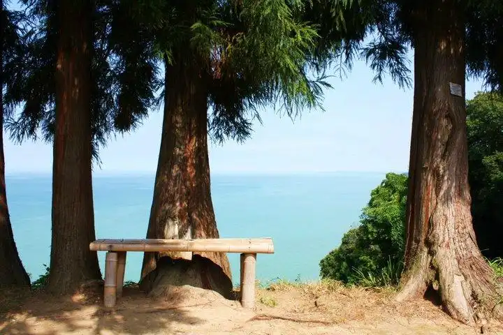 2_Batumi Botanical Garden