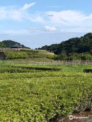 Tamaoka Historical Park