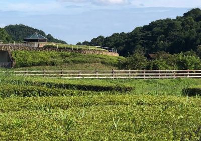 Tamaoka Historical Park