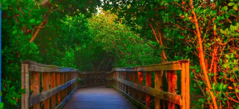 Hotels in Punta Gorda