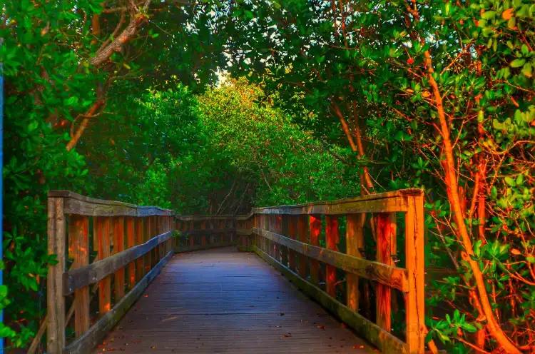 Punta Gorda