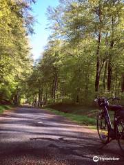 Un vélo à la campagne