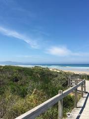 Waratah Beach Surf Life Saving Club