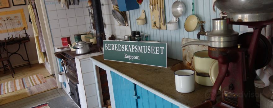 Beredskapsaara