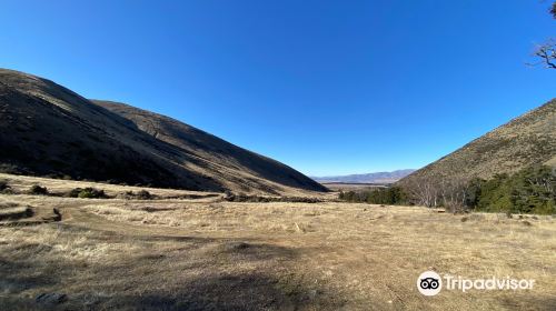 Quailburn Woolshed