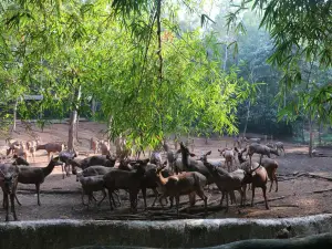 Abhayaranyam Kaprikkadu Ecotourism