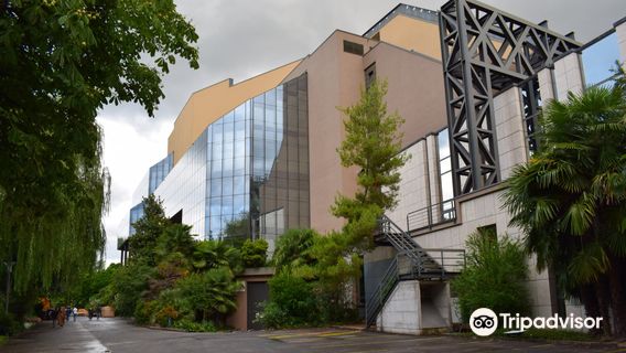 Stravinski Auditorium