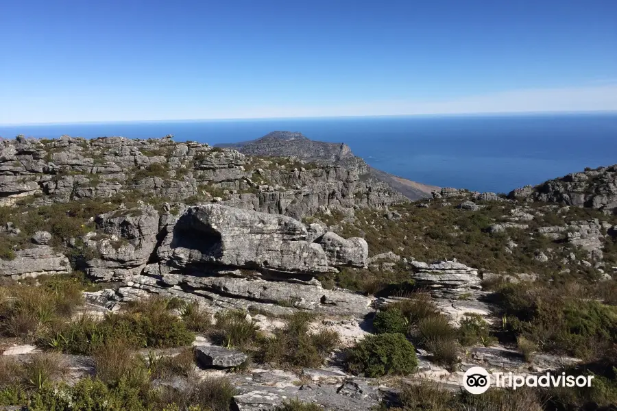 Table Mountain Adventure Trails