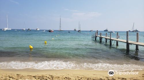 Plage de Pampelonne