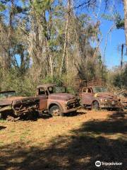 Roadside Rusted Ford Trucks