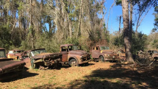 Roadside Rusted Ford Trucks