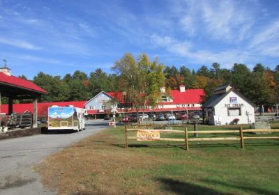 The Dollhouse and Toy Museum of Vermont