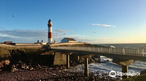 Buchan Ness Lighthouse