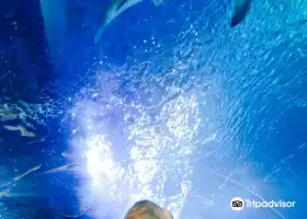 SEA LIFE at Mall of America