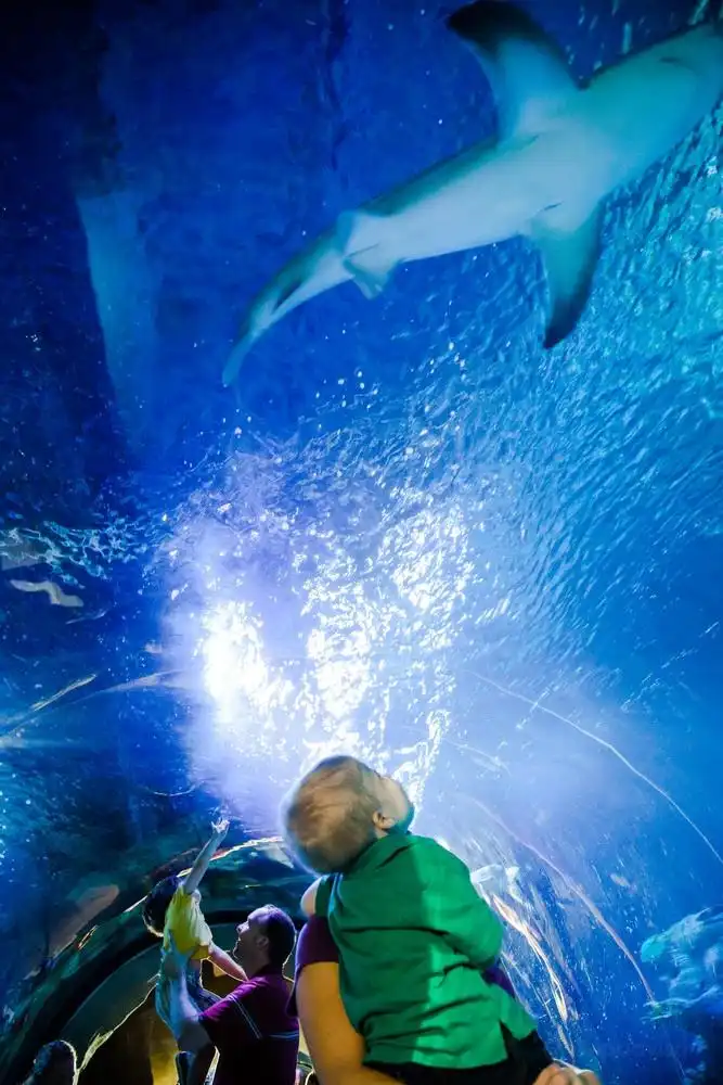 Hotels near SEA LIFE at Mall of America