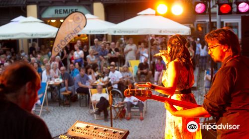 Remise Bludenz