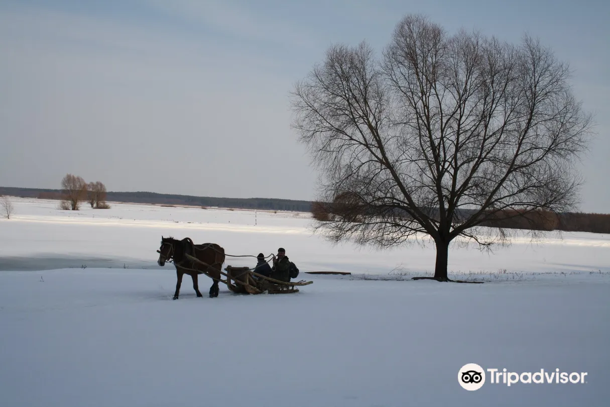 4_Mezynskyi National Park