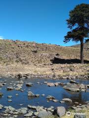 Laguna Hualcupén