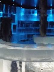 Artico Icebar